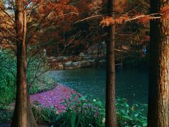 -云溪植物园