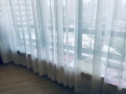 -E.L.K造型momopark店