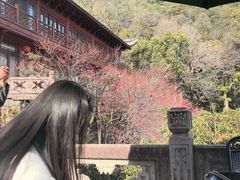 -韬光茶庵