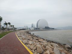 -野狸岛