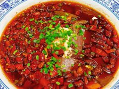 -院8里·少城记忆老川菜(宽窄巷子店)