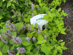 -北京植物园南门售票处