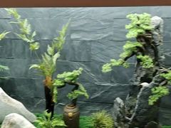 -若水云栖·足疗·按摩·SPA(城阳万达广场店)