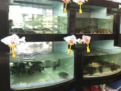 水产区-年顺渔村(大岭山店)