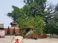 -大槐树寻根祭祖园