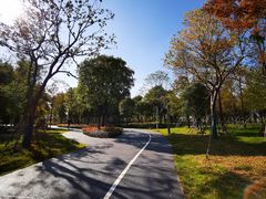 -南汇新城城市公园