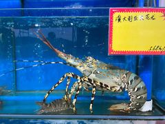 -蚝专家(北滘店)