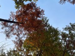 -重庆中央公园(渝北区)