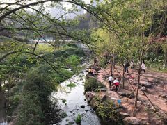 -重庆彩云湖湿地公园