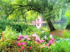 -上海共青森林公园