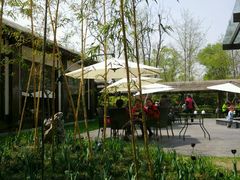 -东园小馆·早茶·淮扬小炒(宋夹城店)