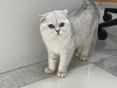 -良伴无忧宠物医院(泰欣嘉园店)
