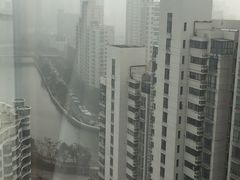 -新湖明珠城