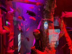 -沈阳海洋探索中心