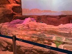 -沈阳海洋探索中心