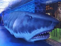 -迪拜水族馆及水下动物园