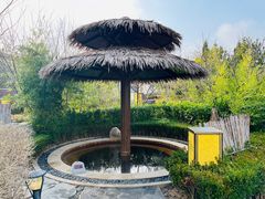 -大连金石滩绿发温泉假日酒店