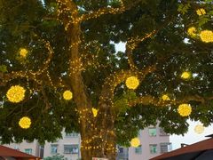 -泰堤坊(淡水体育馆店)