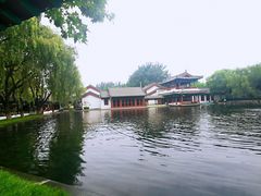 -百脉泉景区