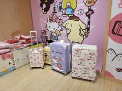 -升恒昌免税商店(桃园国际机场店)