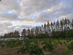 -前小桔亲子创意农场·草莓采摘·露营烧烤