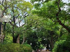 -九龙公园