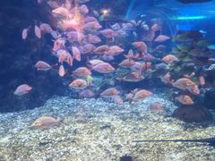 -海合安武汉极地海洋公园