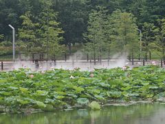 -苏州上方山国家森林公园