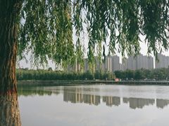 -五环公园