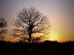 -汉长安城未央宫国家考古遗址公园