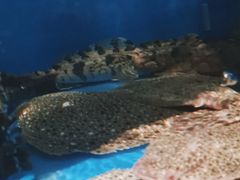 -百富源·海鲜辽菜(和平北大街店)