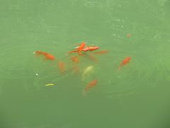 -龙潭水乡