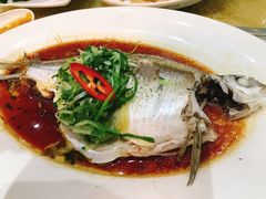 清蒸边鱼-联邦酒楼
