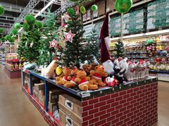 -麦德龙(十里河店)