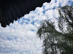 -北坞公园