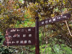 -重庆彩云湖湿地公园