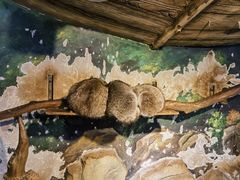-绿色星球动物主题公园