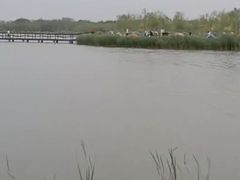 -西青郊野公园
