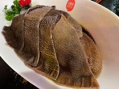 九鼎招牌脆毛肚-九鼎轩脆毛肚火锅(南京东路店)