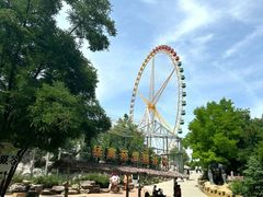 -石家庄市动物园