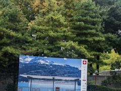 -三里屯东五街银杏大道