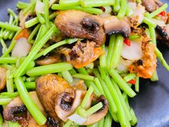 茼蒿菌菇小赤贝-南山酒肆(南山董事绘店)