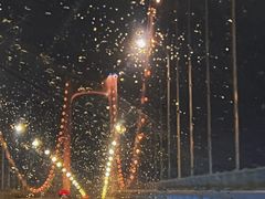 -星海湾跨海大桥