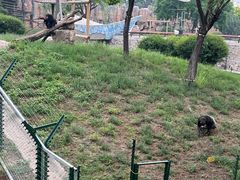 -石家庄市动物园