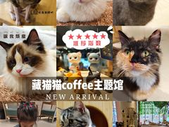 -藏猫猫咖啡主题馆(中央大道店)