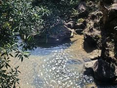 -广州白江湖森林公园