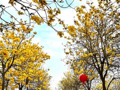 -盈香心动乐园