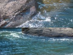 -九曲溪竹筏码头