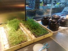 -夫妻肺片·中华老字号·正宗川菜(春熙路店)