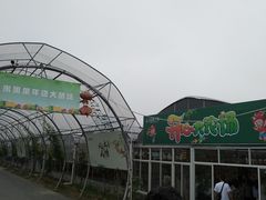 -米果果小镇